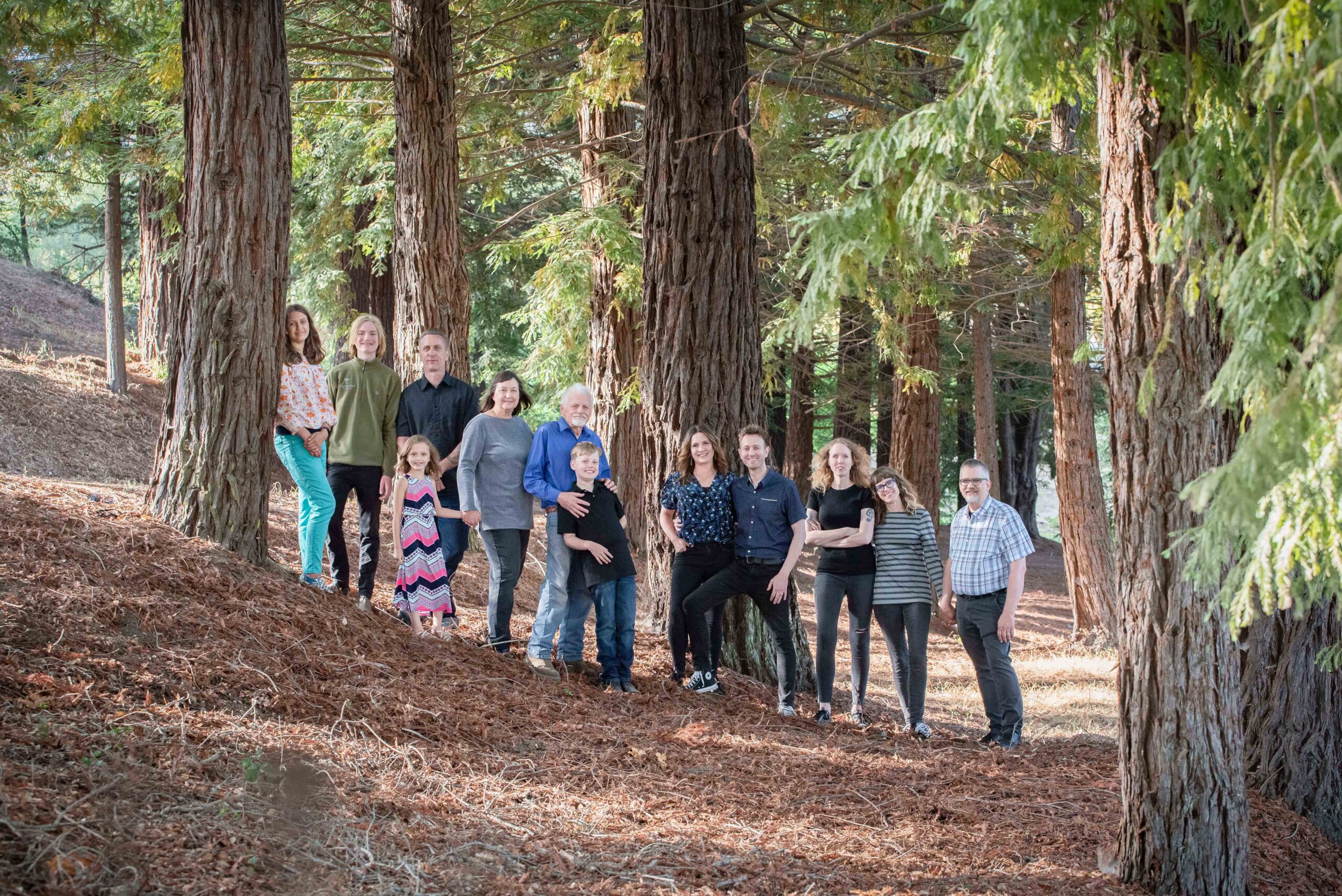 The author (center, left) with family among a few of the many hundreds of redwoods he planted as seedlings.